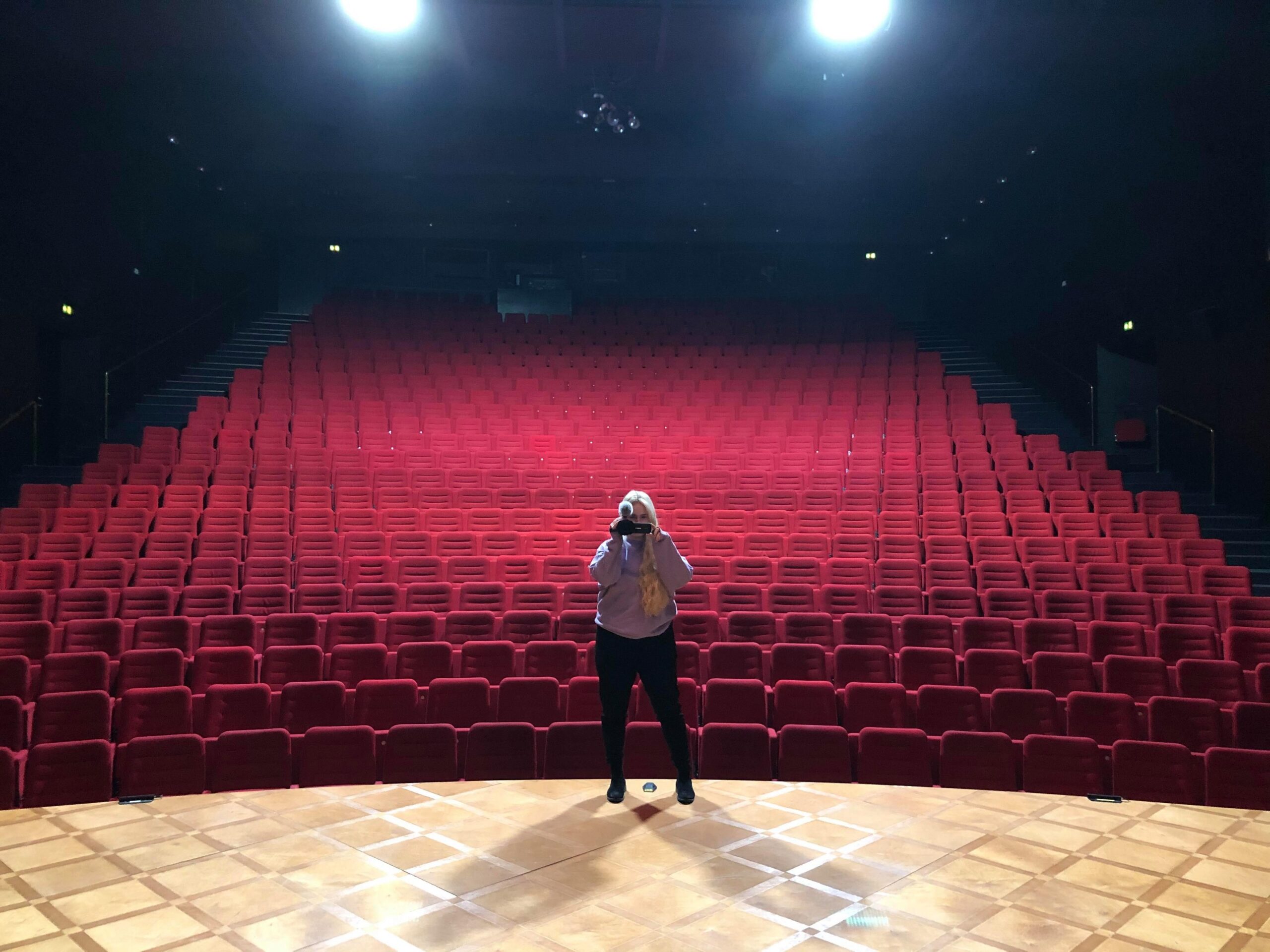 Culture From The Lockdown Theatre Without A Theatre Adeste Plus